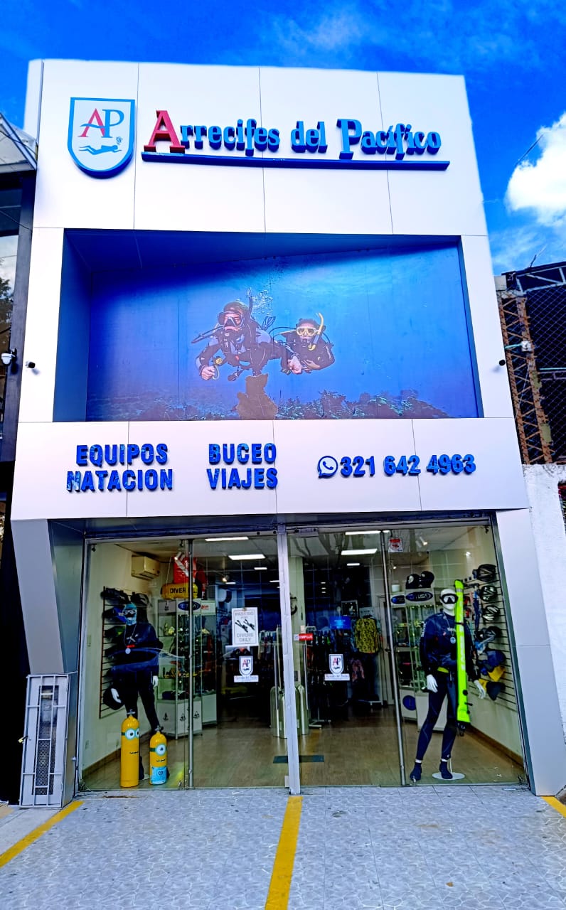 WhatsApp Image 2025-08-13 at 8.00.06 PM